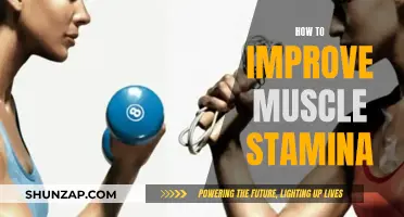 Improving Muscle Stamina: Strategies for Building Endurance
