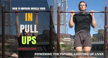Master Pull-Ups: Targeted Exercises to Strengthen Key Muscles Fast