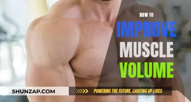 Build Muscle Volume: Effective Strategies for Growth