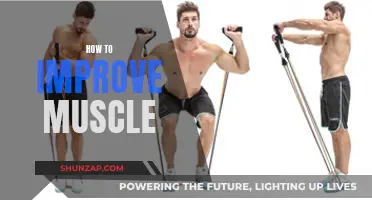 Building Muscle: Strategies for Strength and Growth