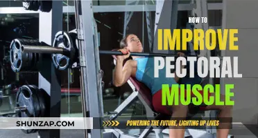 Building Better Pectoral Muscles: A Comprehensive Guide