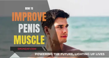 Enhancing Penis Muscle: Techniques for Better Performance