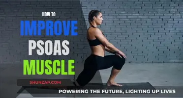 Unlocking Psoas Muscle Strength: Simple Yet Effective Techniques