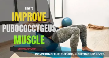 Improving Your Pubococcygeus Muscle: Simple and Effective Strategies