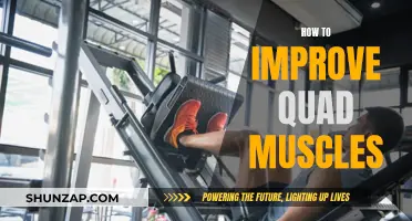Building Strong Quads: Tips for Better Muscle Development