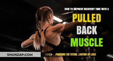 Speed Up Pulled Back Muscle Recovery: Effective Tips and Strategies