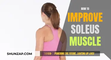 Soleus Muscle: Simple Strategies for Strength and Flexibility