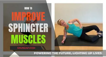 Improving Sphincter Muscles: Tips for Better Control and Strength