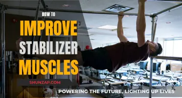 Unlocking Stabilizer Muscles: Tips for Strengthening and Improvement