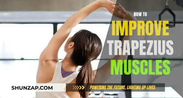 Trapezius Muscle Development: Simple Strategies for Strength and Growth