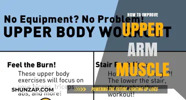 Effective Upper Arm Muscle Building: Tips for Strength and Definition