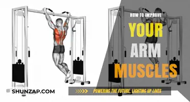 Effective Arm Muscle Building: Tips for Strength and Definition