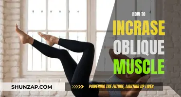 Building Powerful Oblique Muscles: A Comprehensive Guide