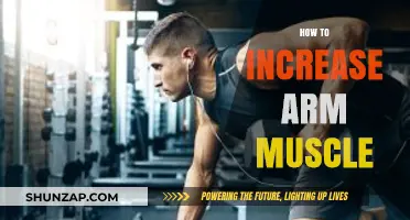 Effective Arm Muscle Building: Proven Techniques for Stronger, Bigger Arms