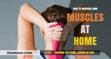 Effective Home Workouts to Build Stronger, Bigger Arm Muscles Fast