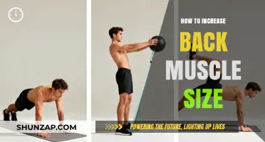 Strengthen Your Back: Effective Tips for Building Bigger Muscles