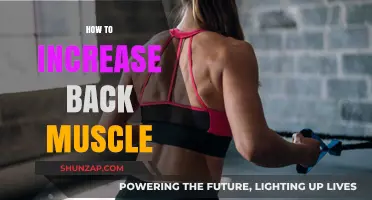 Strengthen Your Back: Effective Exercises and Tips for Muscle Growth