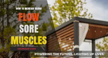 Boost Blood Flow, Ease Sore Muscles: Effective Recovery Techniques