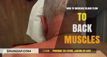 Boosting Blood Flow to Back Muscles: A Comprehensive Guide