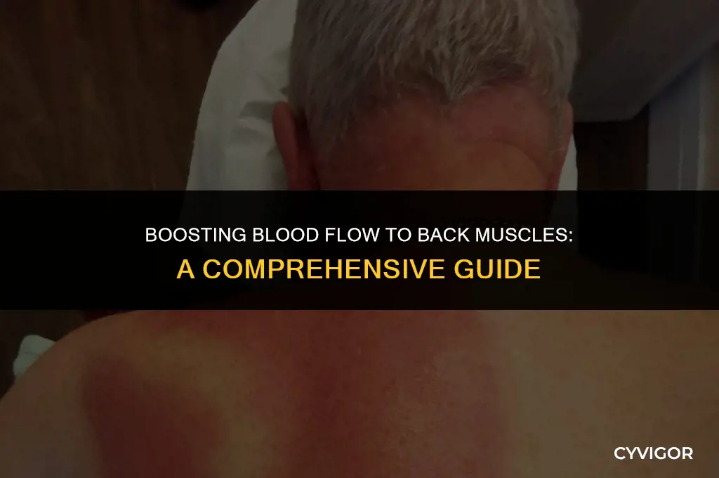 how to increase blood flow to back muscles