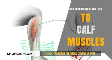 Boosting Circulation: Effective Ways to Increase Blood Flow to Calf Muscles