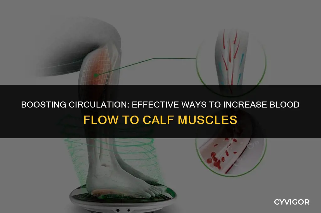 how to increase blood flow to calf muscles
