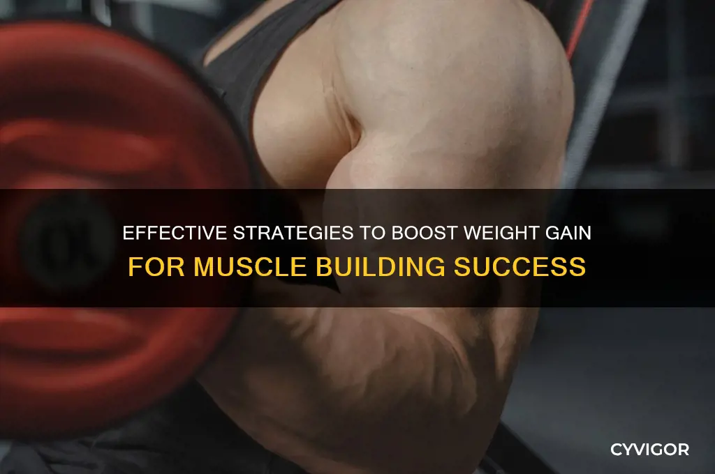 how to increase body weight goal for muscle gain