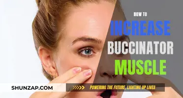 Buccinator Muscle: Strategies for Strength and Size