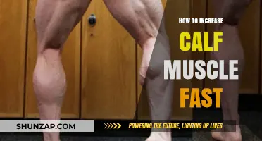 Quick Calf Muscle Growth: Effective Tips and Techniques