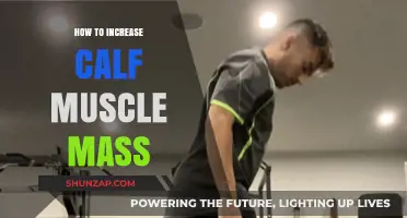 Effective Strategies to Boost Your Calf Muscle Mass