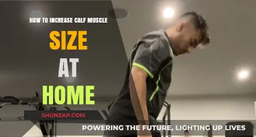 Effective Calf Muscle Growth: Home Exercises and Tips