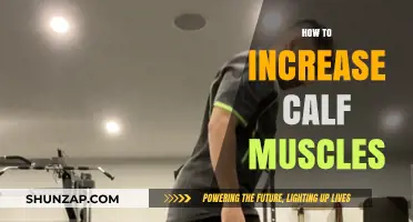 Effective Strategies to Naturally Boost Your Calf Muscle Size