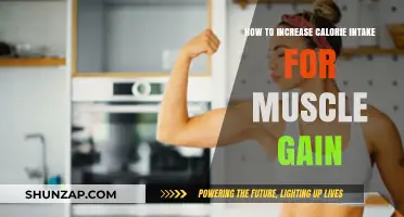 Boost Your Calorie Intake for Optimal Muscle Gain Strategies