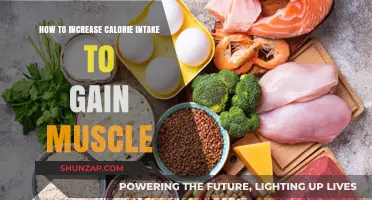 Boost Muscle Growth: Strategies to Increase Calorie Intake Effectively