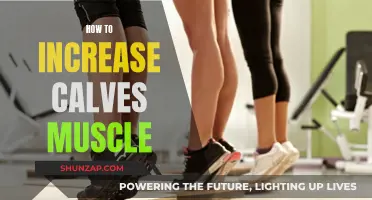 Building Bigger Calf Muscles: Tips and Tricks