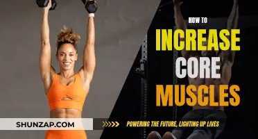 Building a Strong Core: Exercises to Strengthen Your Midsection