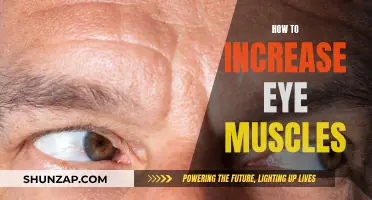 Strengthen Your Eye Muscles: Simple and Effective Techniques