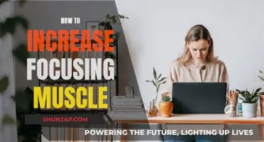 Enhancing Your Focus: Strategies to Strengthen Your Attention Muscle