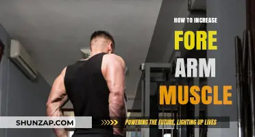 Effective Forearm Muscle Building: Tips and Exercises for Stronger Arms