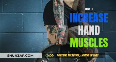 Building Hand Muscles: Tips for Strength and Control