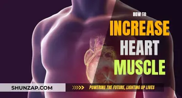 Building Heart Muscle: Strategies for Strengthening Your Ticker