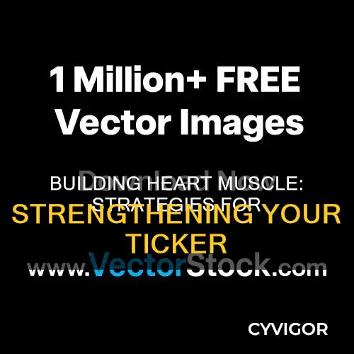 how to increase heart muscle