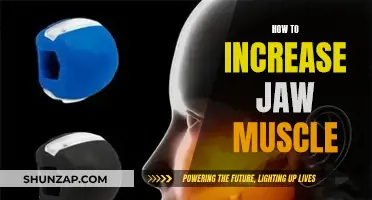 Building a Stronger Jawline: Enhancing Jaw Muscles for a Defined Look
