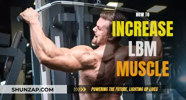 Building LBM Muscle: Strategies for Effective Strength Training