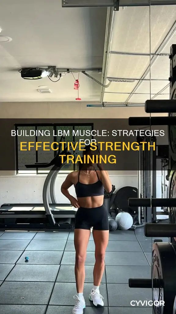 how to increase lbm muscle