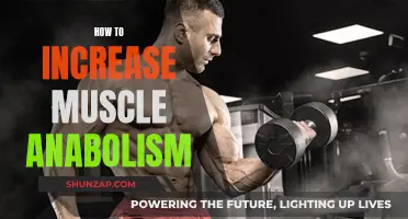 Maximizing Muscle Anabolism: Strategies for Enhanced Muscle Growth