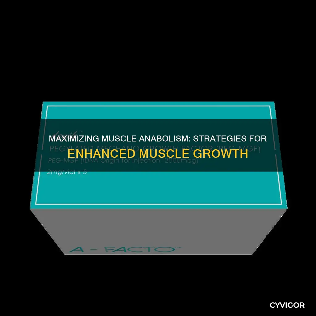 how to increase muscle anabolism