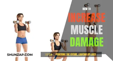 Ways to Increase Muscle Damage for Effective Growth