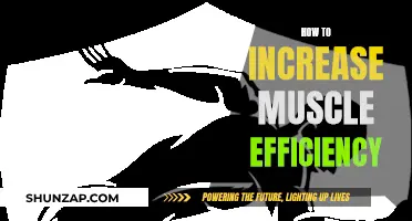 Maximizing Muscle Efficiency: Strategies for Optimal Performance