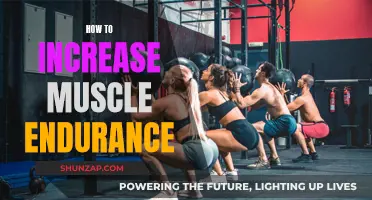 Building Muscle Endurance: Strategies for Strength and Stamina